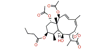 Briarenolide ZII